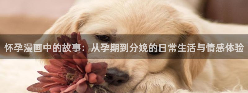 韩漫免费观看.