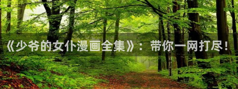 筑梦韩漫网页版入口