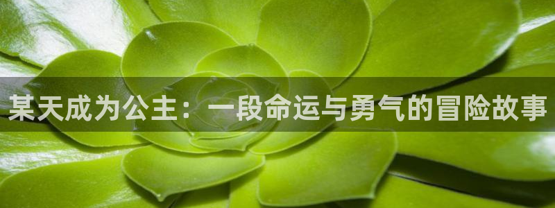 韩漫资源大全