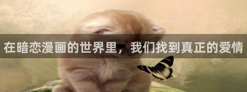 歪歪韩漫网址
