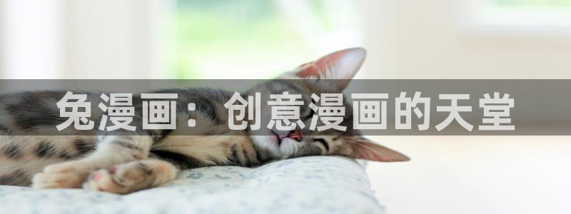 pocket7韩漫官网入口
