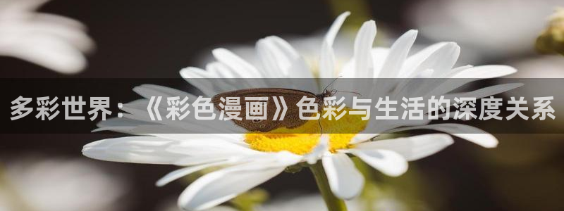 韩漫无删减免费漫画大全