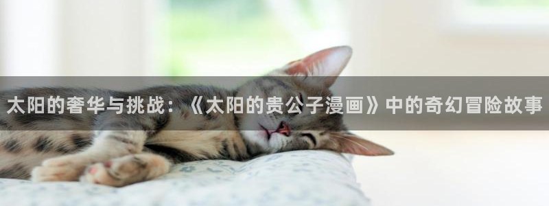 韩漫免费官网入口
