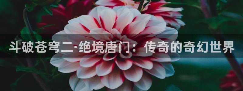 美丽新世界韩漫免费在线观看