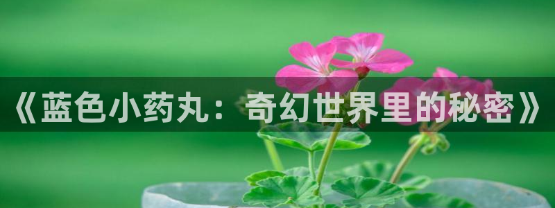 看韩漫的网站资源