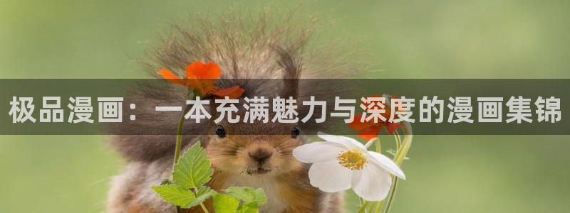 韩漫画堕落教师