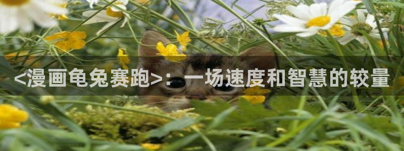 韩漫之家网址