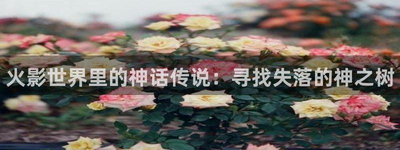 成人免费韩漫网站app