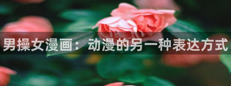 韩漫入口在线