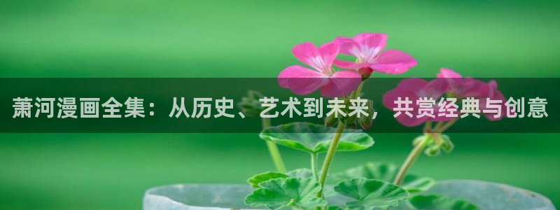 韩漫虞美人漫画免费观看