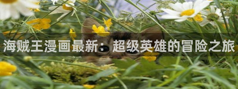漫蛙漫画韩漫官网免费
