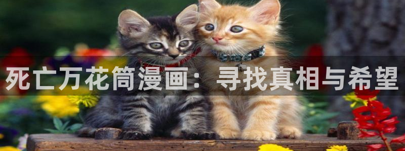 歪歪漫画韩漫免费漫画页